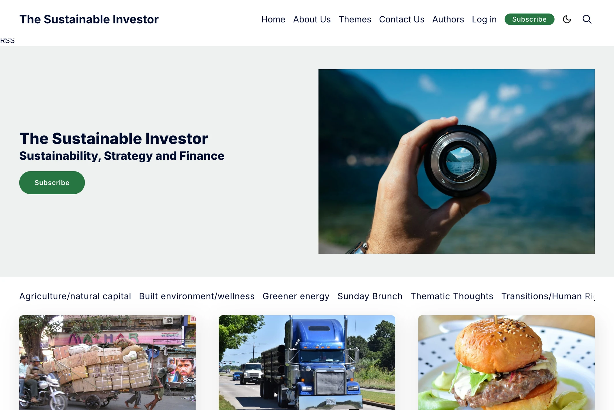 Screenshot of The Sustainable Investor — Ghost theme website