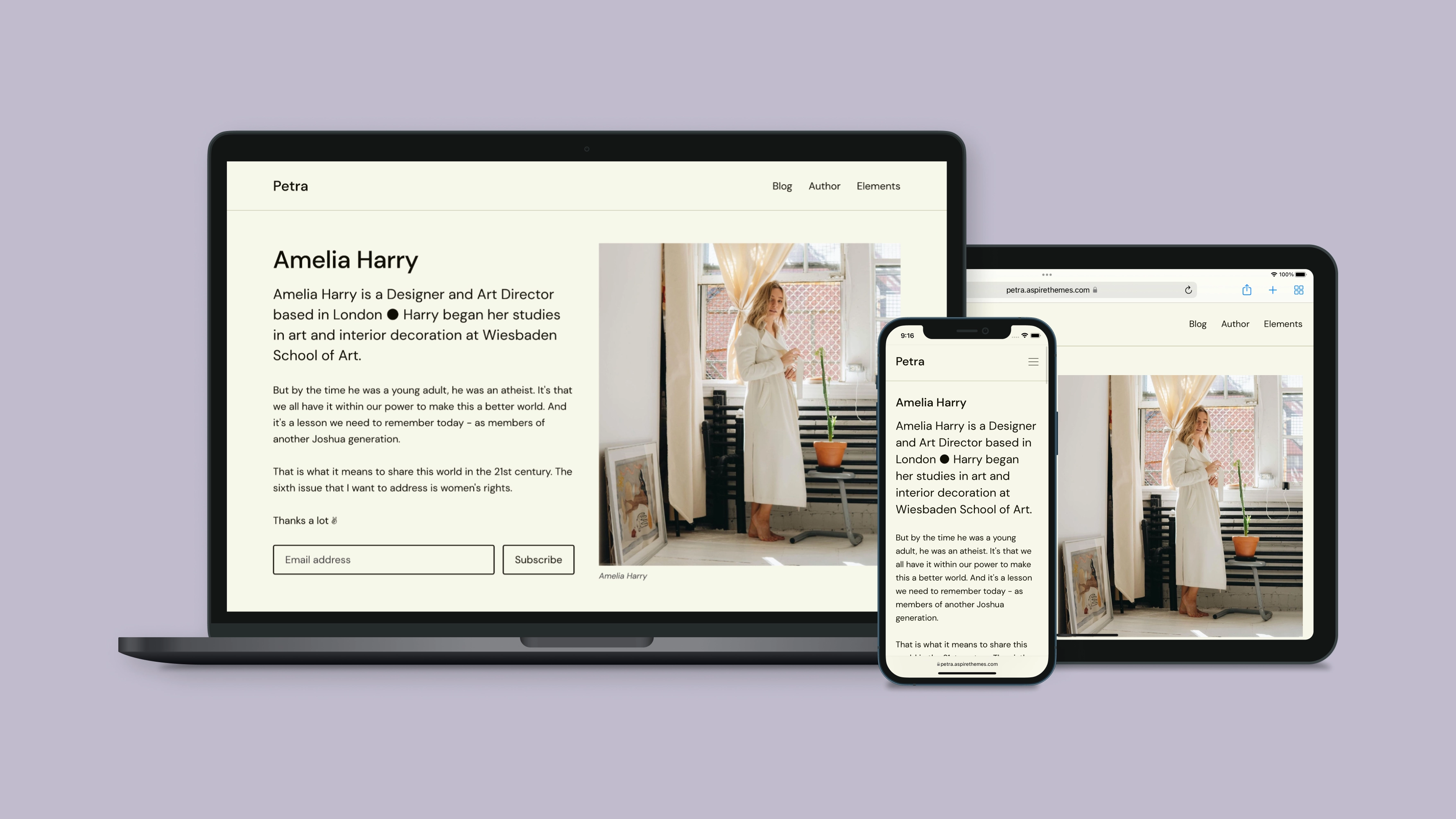 Petra Ghost Theme Responsive Layout on iPhone and iPad