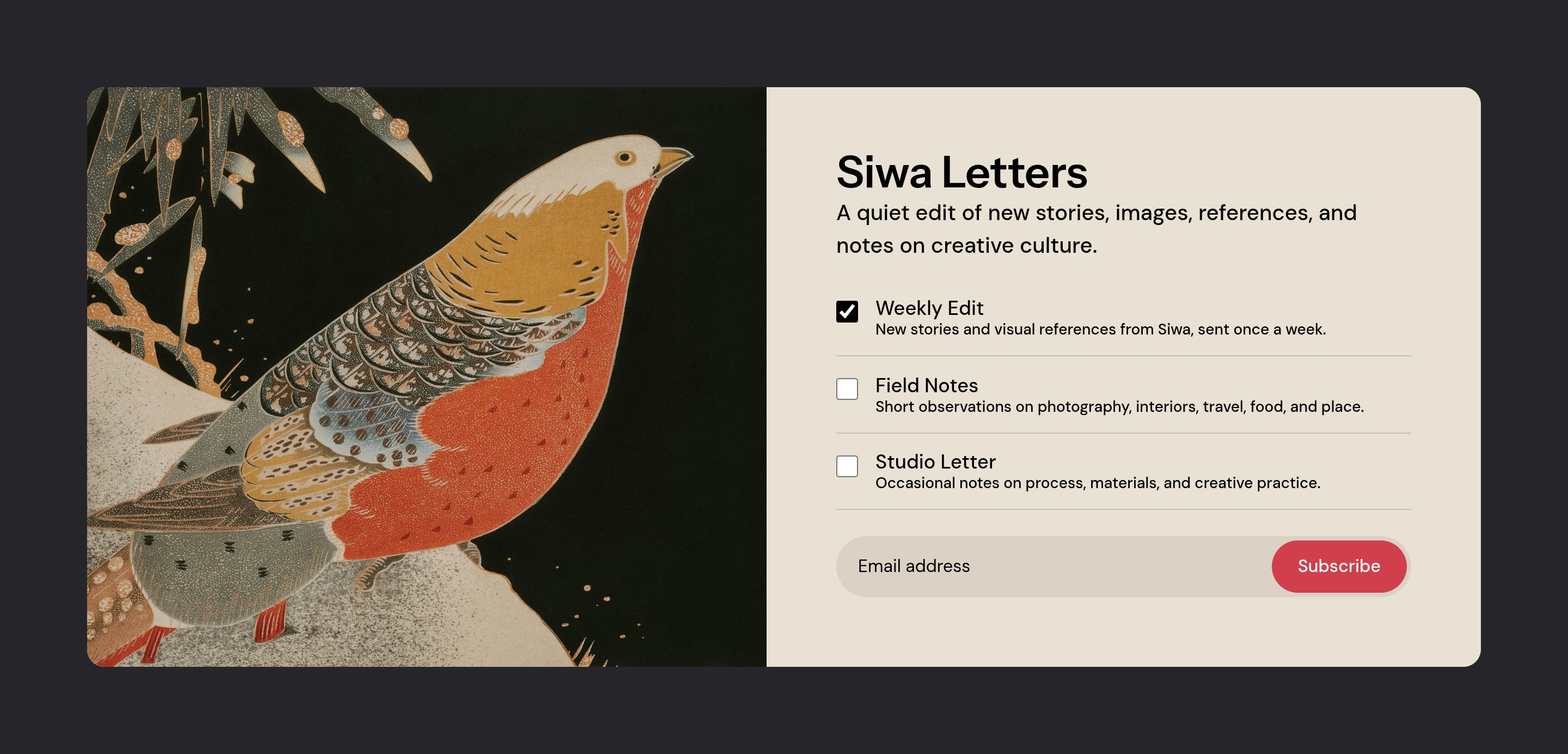 Siwa newsletter signup with bird artwork, three newsletter choices, and an email form